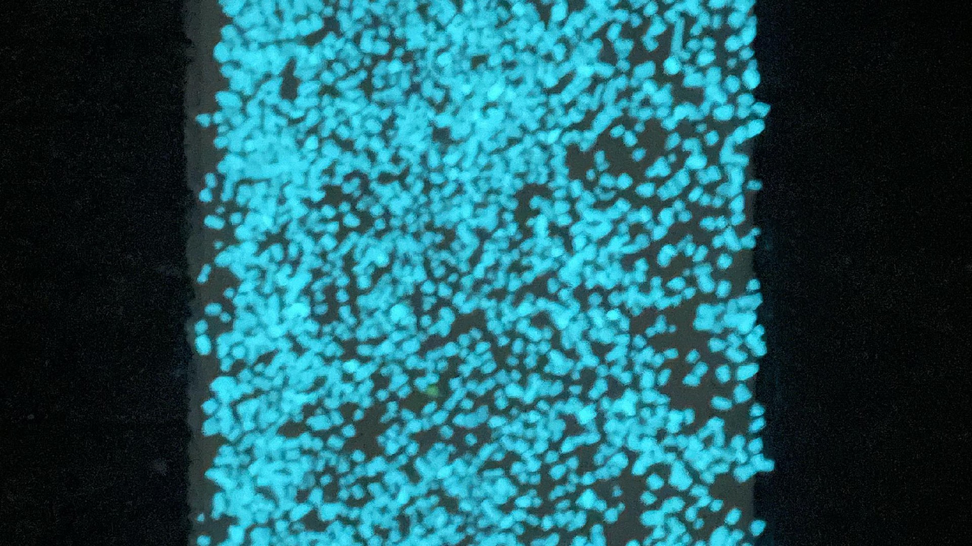 1693884126203680.jpg 1693884126203680.jpg